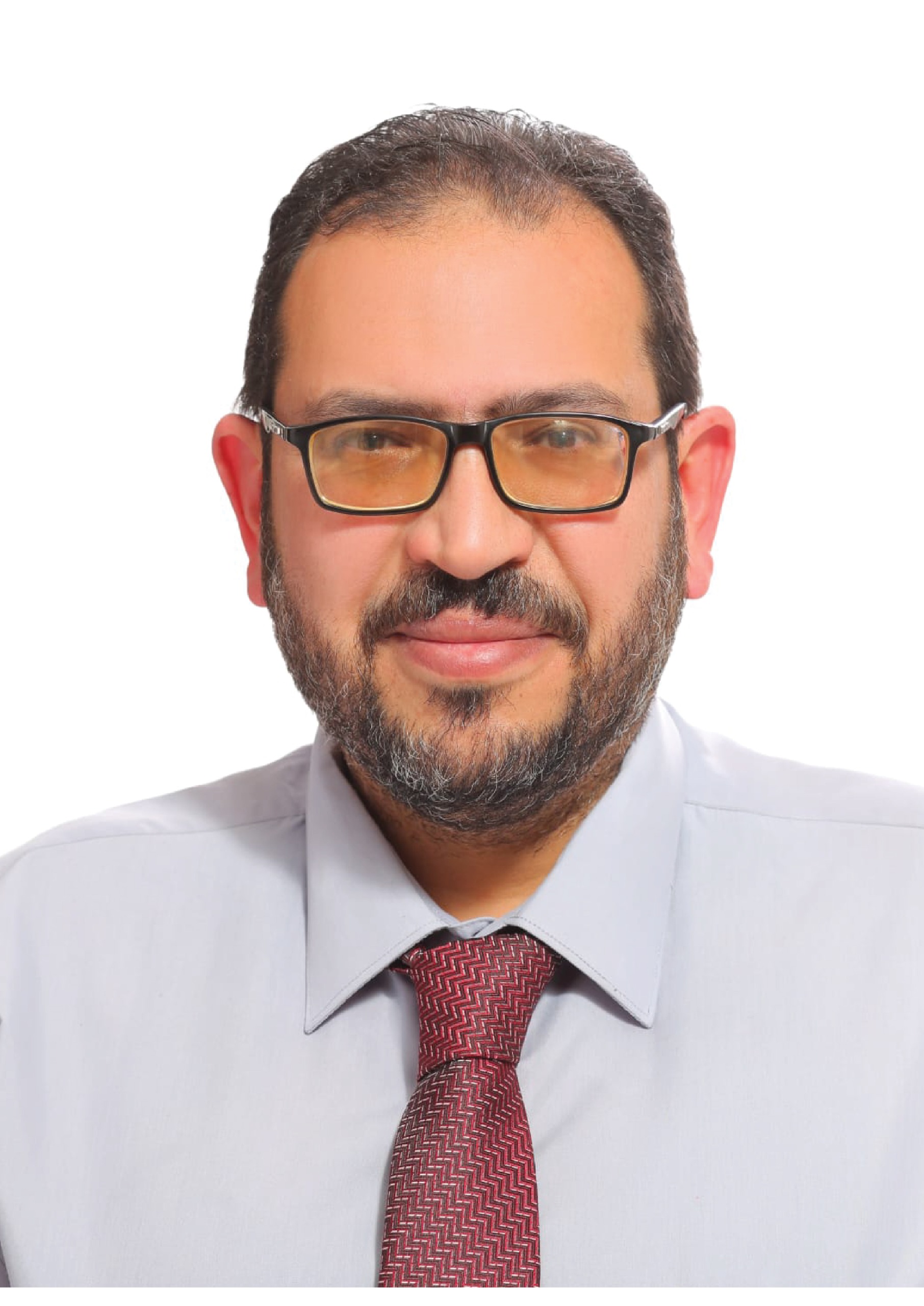 Mr. Ayman Lutfi